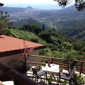 The House In The Green Casa vacanze